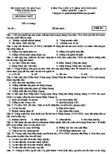 Kiểm tra cuối kì 1 Lịch sử Lớp 12 - Năm học 2022-2023 - Sở GD&ĐT Quảng Nam (Có đáp án)